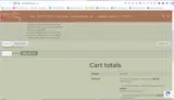 FreeShip26 coupon verification screenshot