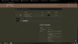 ShoeSALE coupon verification screenshot
