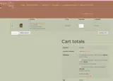 ShoeSALE coupon verification screenshot