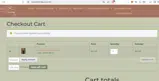 YAYFALL coupon verification screenshot