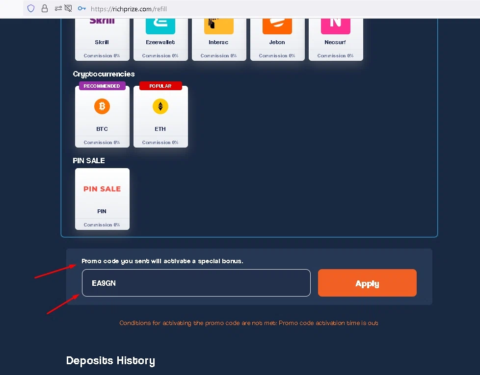 RichPrize checkout page showing RichPrize promo code box | Screenshot taken by SimplyCodes community member on Sep 20, 2022