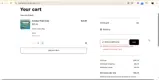 DISCOUNT2024 coupon verification screenshot