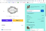 River Chic Designs coupon verification screenshot