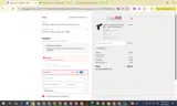 NOPANTS coupon verification screenshot