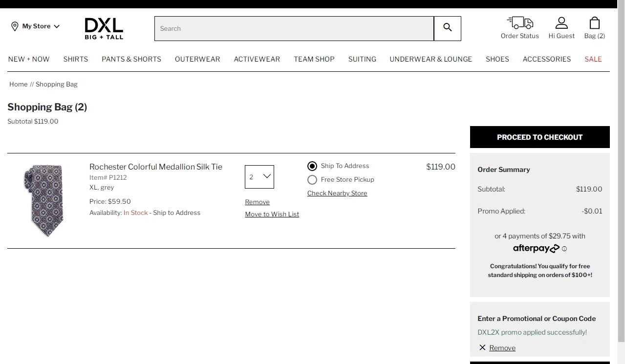Rochester Clothing checkout page showing Rochester Clothing coupon code box | Screenshot taken by SimplyCodes community member on Oct 13, 2022