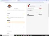 Rochester Red Wings coupon verification screenshot