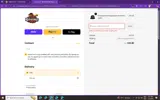 Rochester Red Wings coupon verification screenshot