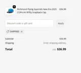Rochester Red Wings coupon verification screenshot