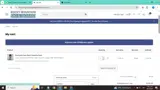 Rocky Mountain Ski and Board coupon verification screenshot