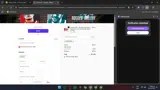 Rogues' Gallery coupon verification screenshot