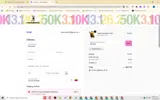 Skirtastic coupon verification screenshot