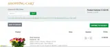 welcome coupon verification screenshot