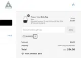 SALKAN10 coupon verification screenshot