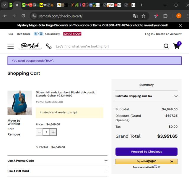 Sam Ash checkout page showing Sam Ash promo code box | Screenshot taken by SimplyCodes community member on Jun 11, 2025
