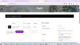 balance coupon verification screenshot