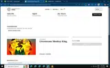 YALEMONKEYKING coupon verification screenshot