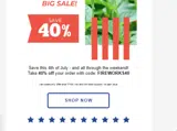 FIREWORKS40 coupon verification screenshot