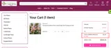 SPRINGTIME2025 coupon verification screenshot