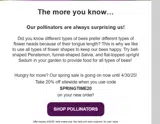 SPRINGTIME20 coupon verification screenshot