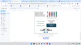 Sanzo Specialties coupon verification screenshot