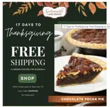 SHIPFREE coupon verification screenshot