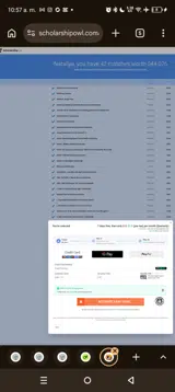 Scholarship Owl coupon verification screenshot