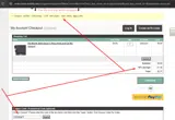 15Disney coupon verification screenshot
