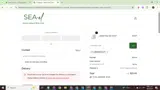 LIZMAEBEAUTY coupon verification screenshot