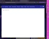 SUMMER20 coupon verification screenshot