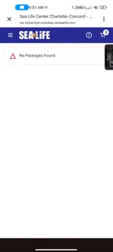 PVUPGRADE coupon verification screenshot