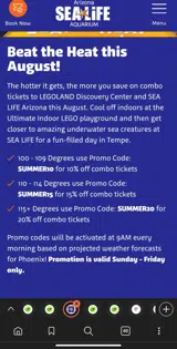 Summer10 coupon verification screenshot