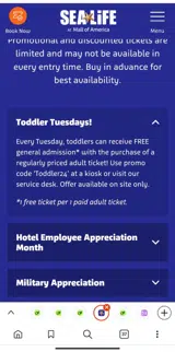 Toddler24 coupon verification screenshot