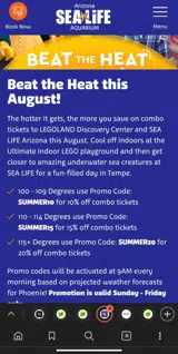 SUMMER10 coupon verification screenshot