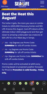 SUMMER10 coupon verification screenshot