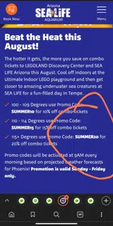 SUMMER20 coupon verification screenshot