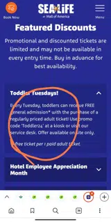 Toddler24 coupon verification screenshot