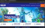 REVISIT5 coupon verification screenshot