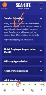 Toddler24 coupon verification screenshot