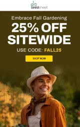 FALL25 coupon verification screenshot