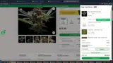 Seedsman coupon verification screenshot