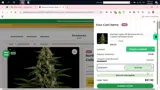 Seedsman coupon verification screenshot