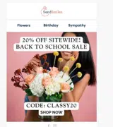 CLASSY20 coupon verification screenshot