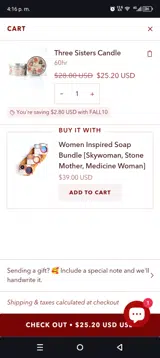 FALL10 coupon verification screenshot