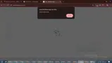 THANKSGIVING2024 coupon verification screenshot