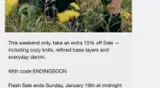 endingsoon coupon verification screenshot