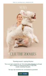 ZOOMIES coupon verification screenshot