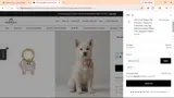 gift5 coupon verification screenshot