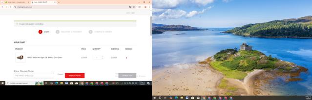 Shield Sights checkout page showing Shield Sights coupon code box | Screenshot taken by SimplyCodes community member on Jun 7, 2025