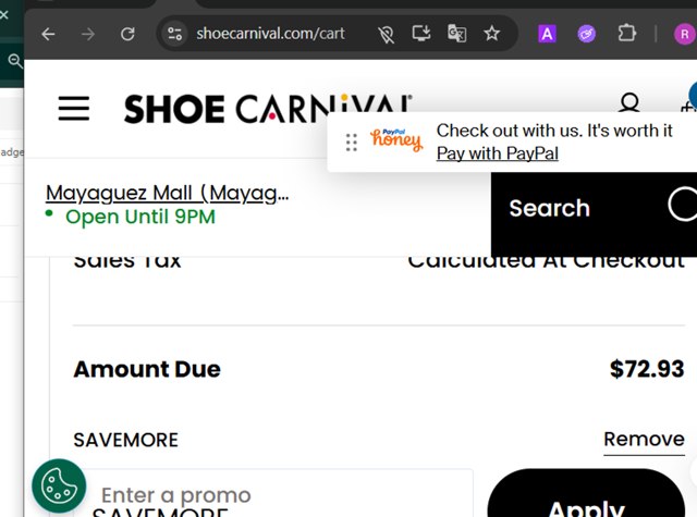 Shoe Carnival checkout page showing Shoe Carnival promo code box | Screenshot taken by SimplyCodes community member on Aug 23, 2025