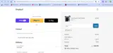 SF10 coupon verification screenshot
